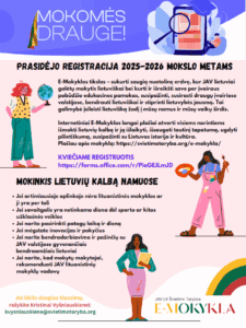 E mokykla 2025 2026